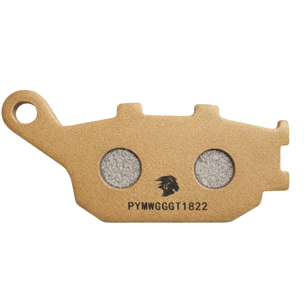 Kit Pastilha de Freio Traseiro Para Moto Potenza GTForza Kevlar-Carbonio (PTZ174GT)