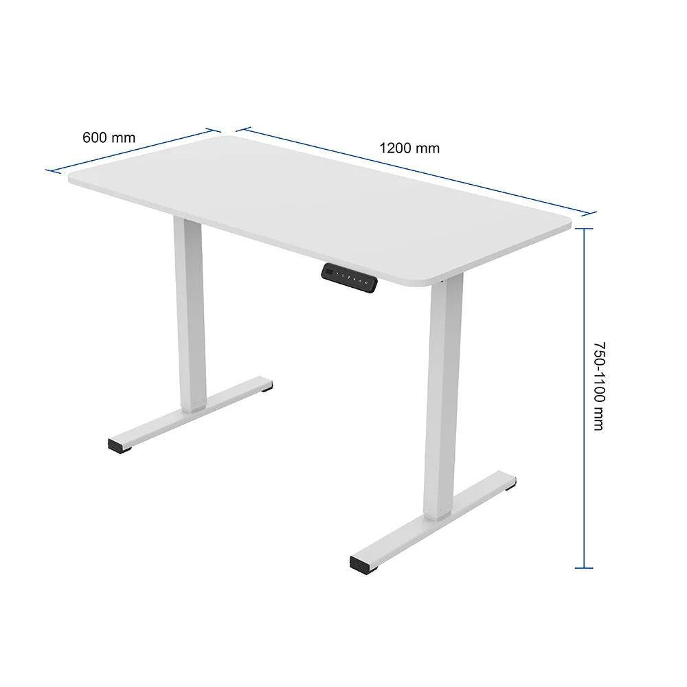 Mesa Elétrica de Escritório FlexiSpot Standing Desk 66Cm-115Cm Altura Ajustável FQ2-WW-1260 (Branco)