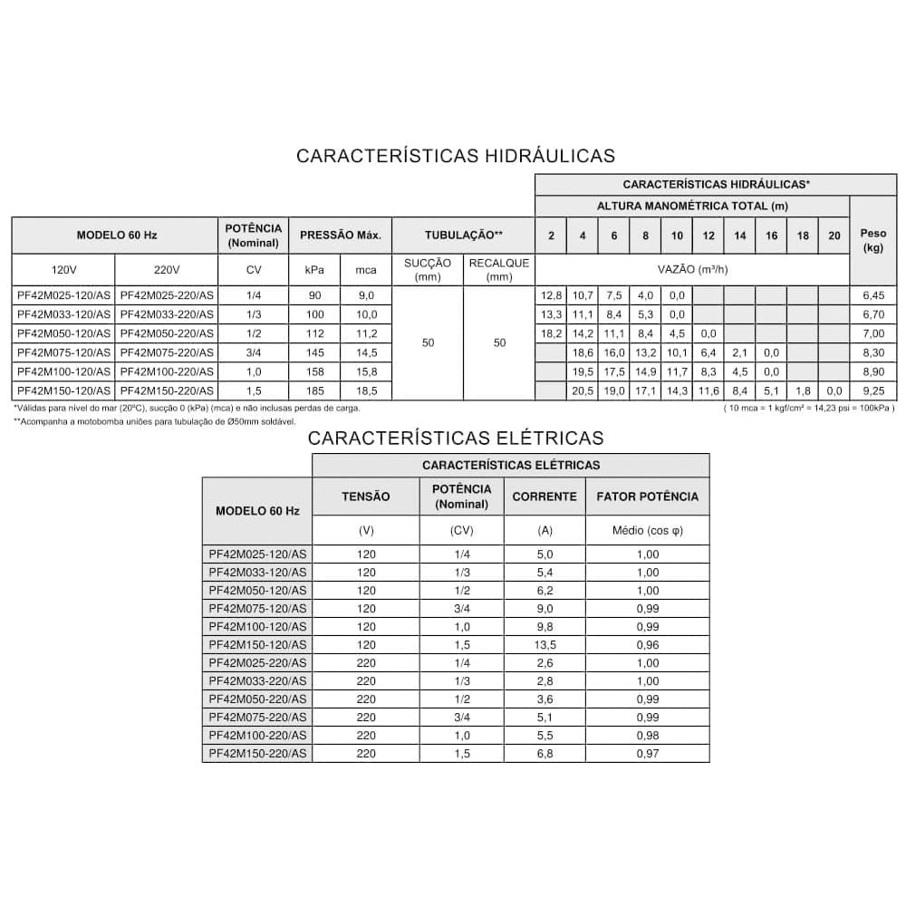 Bomba Pré Filtro para Piscina Autoescorvante 1CV 220V - SYLLENT-PF42M100-220/AS