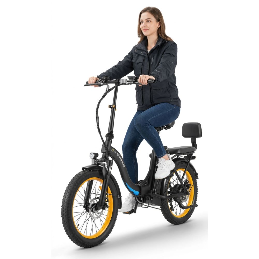 Bicicleta Elétrica Honey Whale BW02 - Adulto, 790w-45km-40km/h-120kg