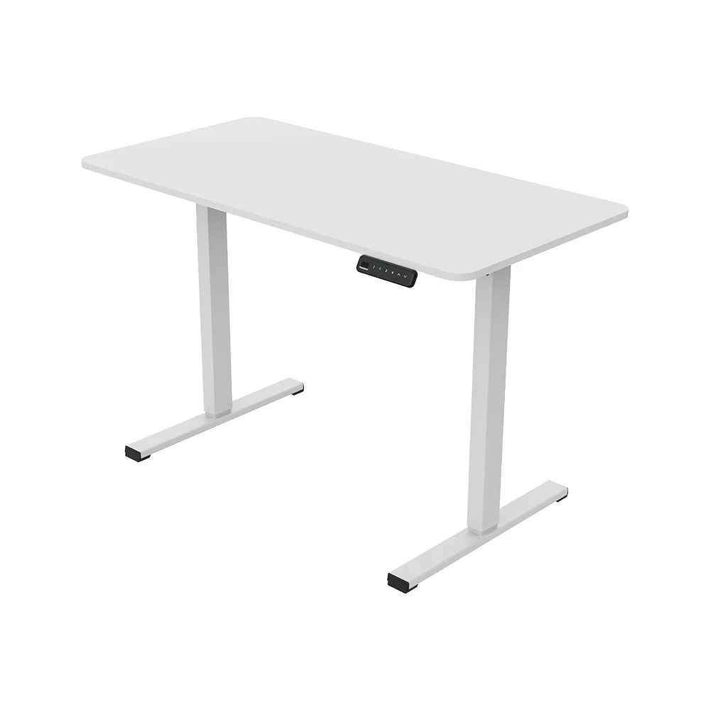 Mesa Elétrica de Escritório FlexiSpot Standing Desk 66Cm-115Cm Altura Ajustável FQ2-WW-1260 (Branco)