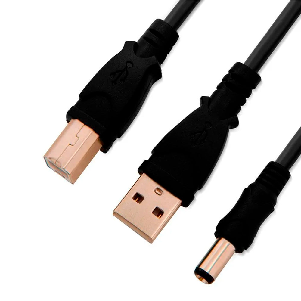Leitor e Gravador de CD, Leitor de DVD Externo Portátil USB | GT Pop UP GT-Goldentec Preto