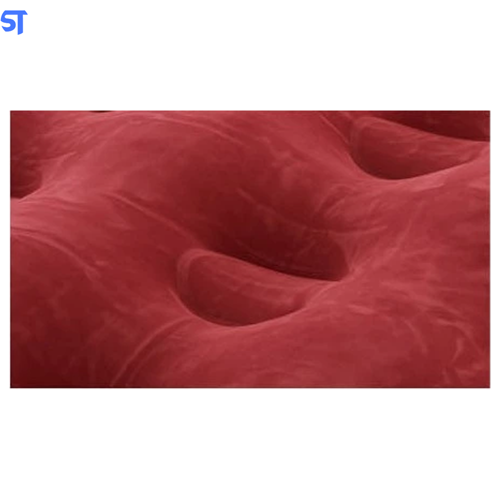 Sofá inflável 5 em 1, Cama de Casal, Dobrável BED Flcked Intime Plastics