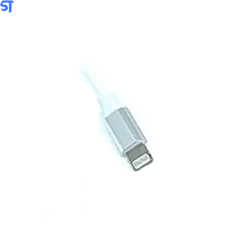 Carregador Rápido Para Iphone Com Duas Usb 3.1A H'maston Y13-2