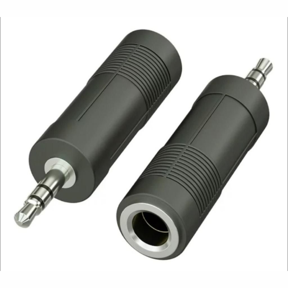 Conector Adaptador De Áudio P10 Fêmea Para P2 Macho Estéreo Lelong